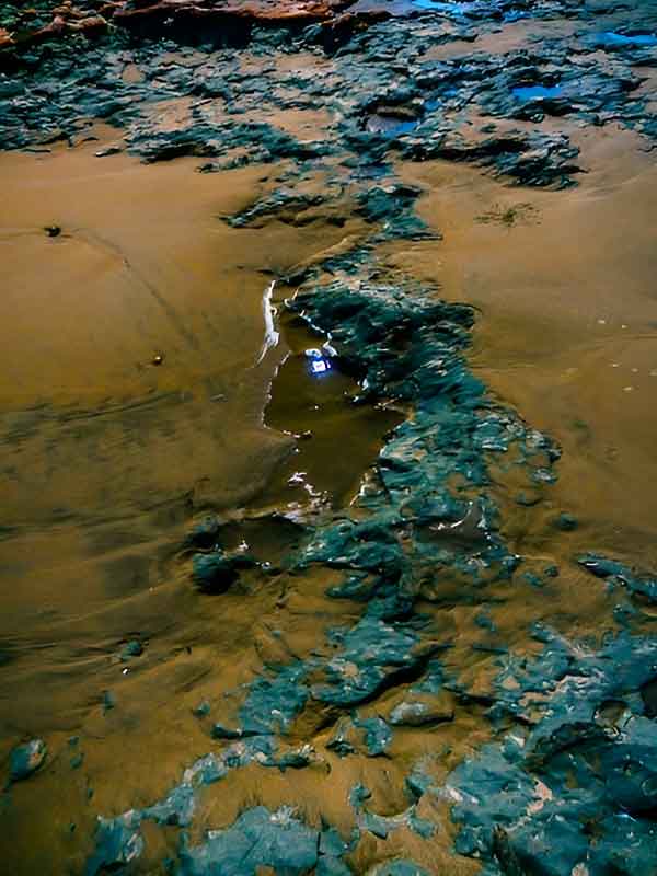 Pollution des eaux à la suite d'un incident industriel majeur.