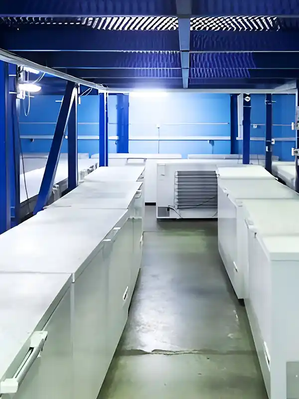 Chambre froide : Réfrigérateurs industriels dans une usine agroalimentaire.