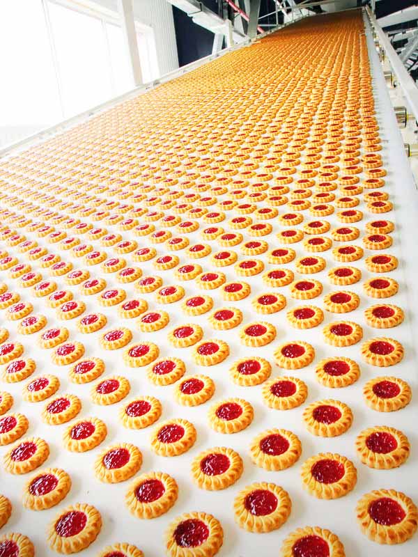Ligne de production en usine d'industrie agroalimentaire.