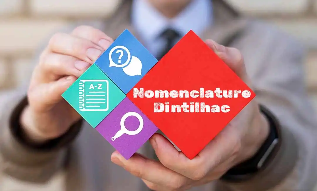 La nomenclature Dintilhac servant de base aux experts pour l'examen des préjudices corporels.